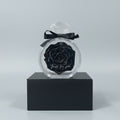 Rose séchée éternelle – cadeau Saint-Valentin fête des mères