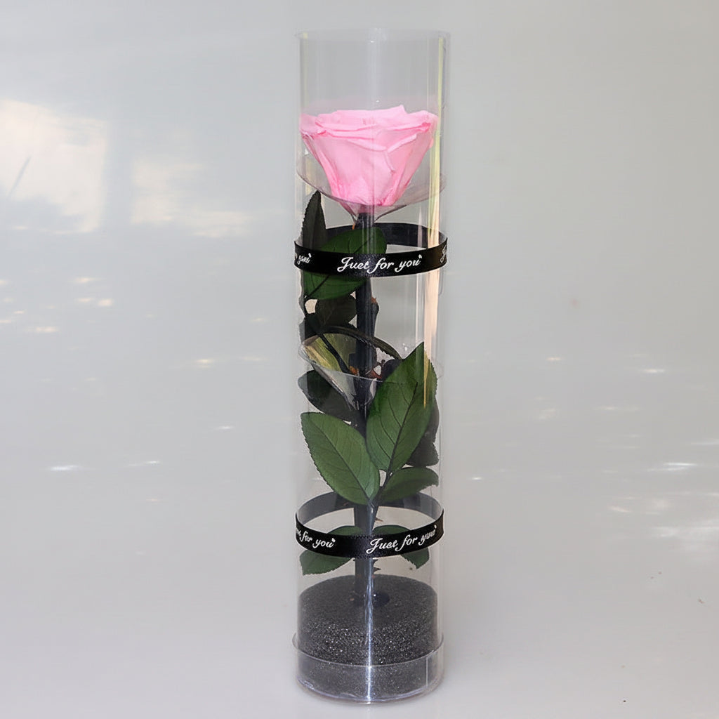 Rose éternelle dans cylindre décoratif – coloris Rose | Les Roses De Lola