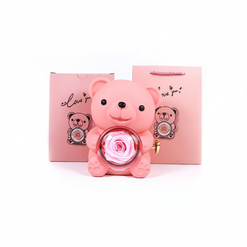 Coffret ours rose dôme – 6 coloris disponibles cadeau Saint-Valentin