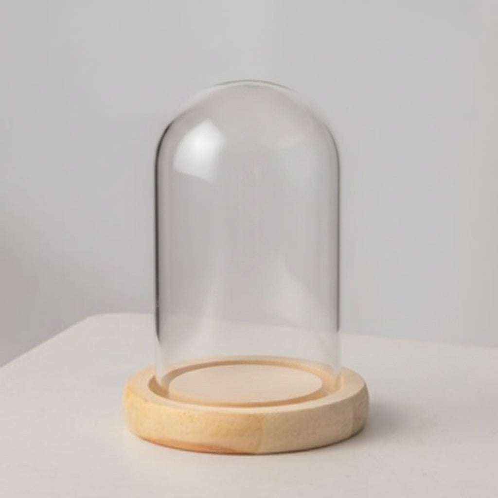 Dôme en verre borosilicate avec socle en bois – présentoir fleurs préservées