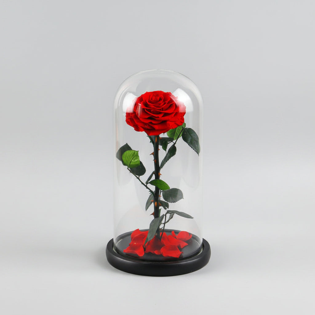 Rose éternelle XL – coloris rouge sous grand dôme