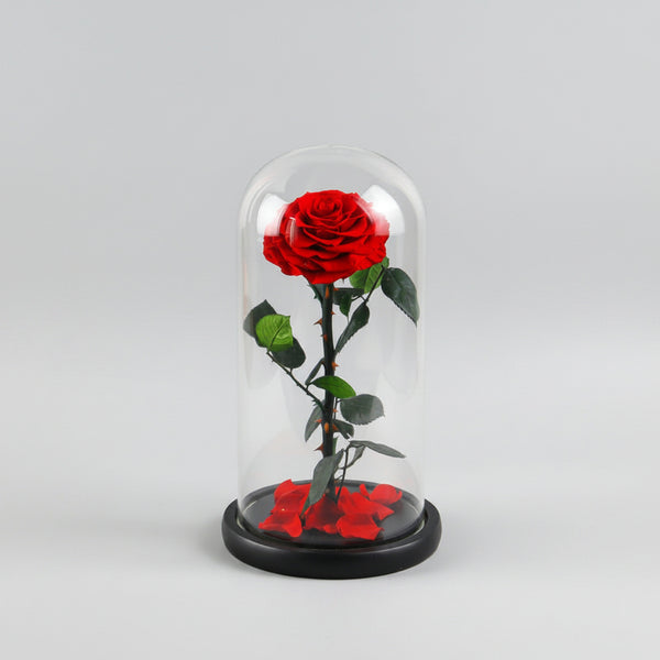Rose éternelle XL – coloris rouge sous grand dôme