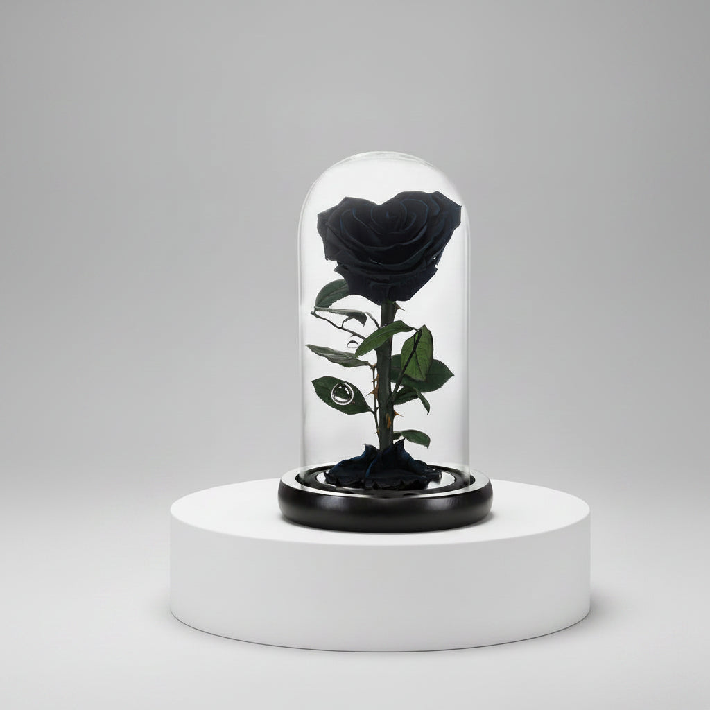 Rose éternelle noire préservée sous dôme en verre – Les Roses De Lola