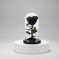 Rose éternelle noire préservée sous dôme en verre – Les Roses De Lola
