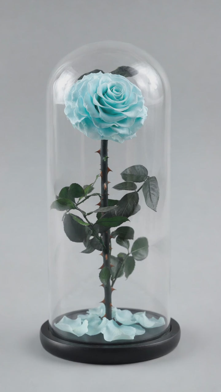 Le Grand Dôme Impérial – Rose Éternelle XL sous Dôme de Verre