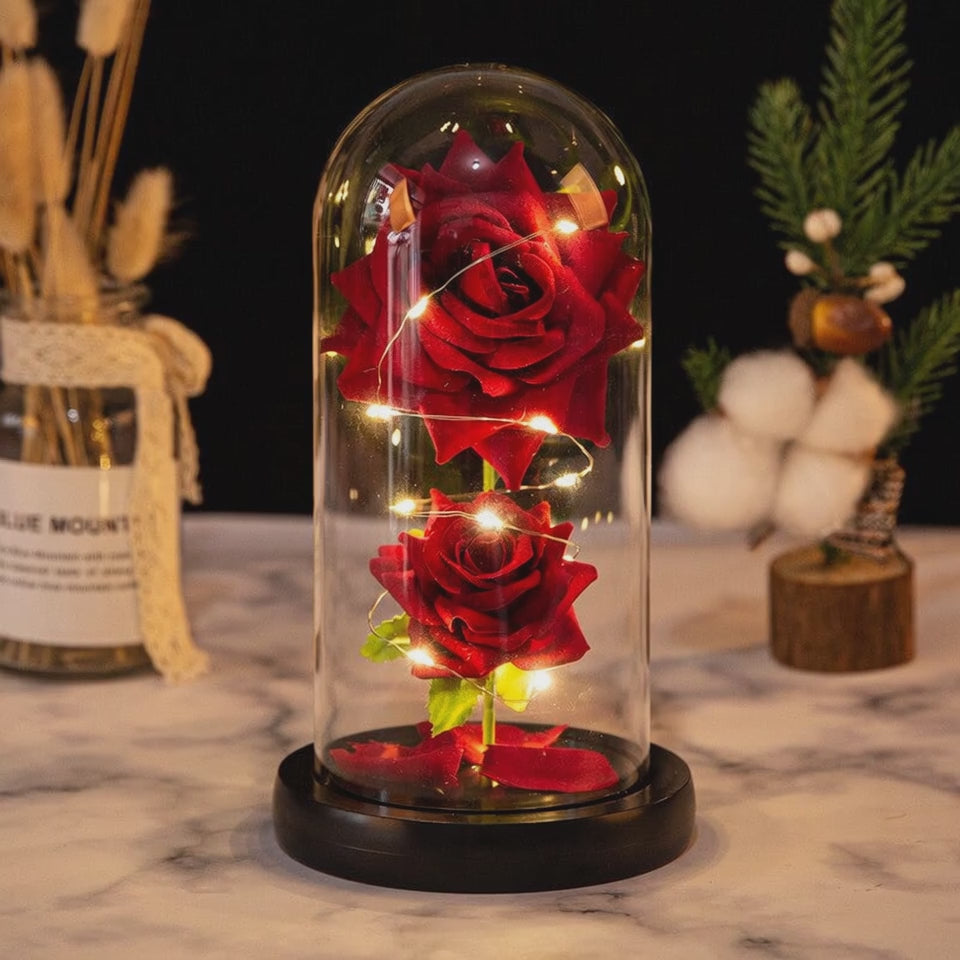 Rose Éternelle Lumineuse sous Dôme — Les Roses De Lola