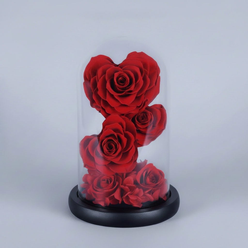 roses éternelles rouges sur tige sous dôme en verre avec hortensias – Les Roses De Lola