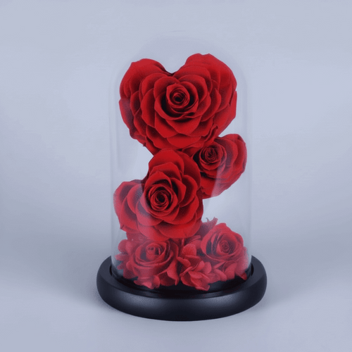 roses éternelles rouges sur tige sous dôme en verre avec hortensias – Les Roses De Lola