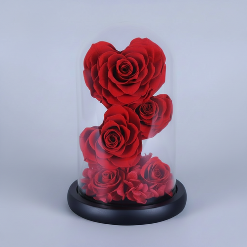 roses éternelles rouges sur tige sous dôme en verre avec hortensias – Les Roses De Lola