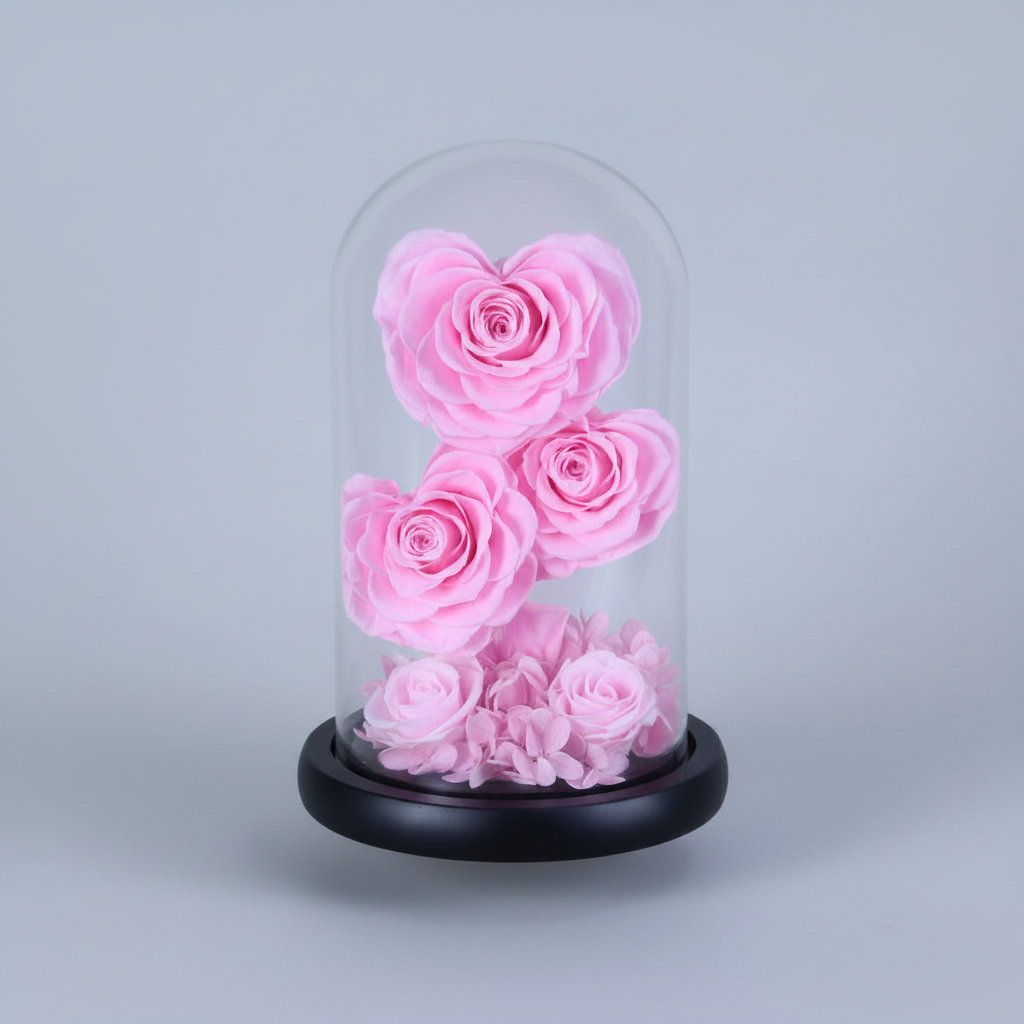 roses éternelles roses sur tige sous dôme en verre avec hortensias – Les Roses De Lola